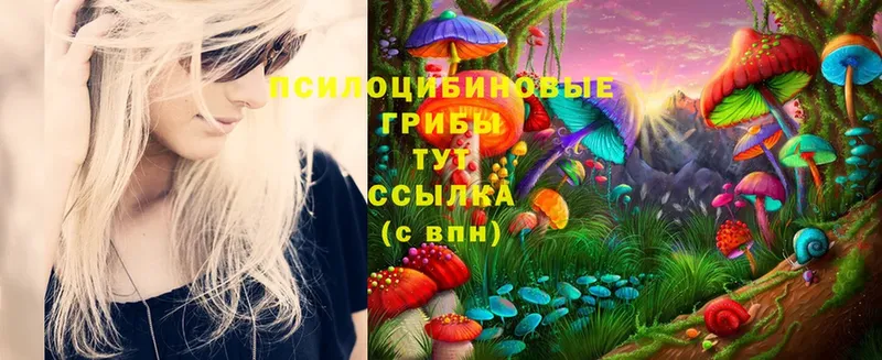 blacksprut ССЫЛКА  мориарти наркотические препараты  Псилоцибиновые грибы ЛСД  продажа наркотиков  Баймак 